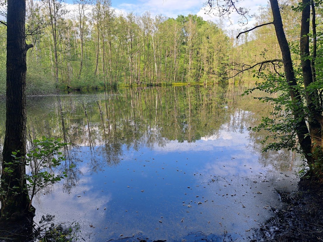 Entre eau et terril
